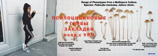 таблы Арсеньев