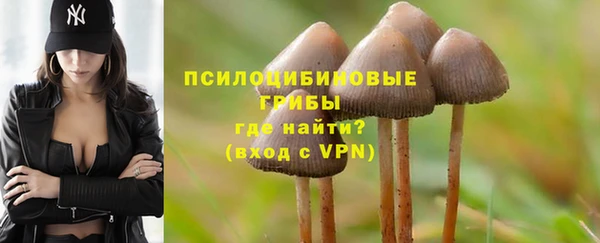 таблы Арсеньев